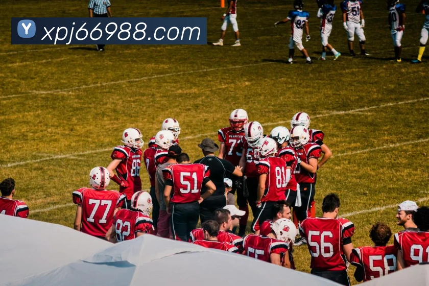 澳门新葡京官方入口平台生态图