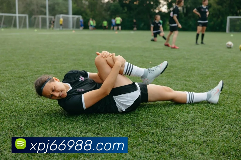 辅助工具 辅助工具